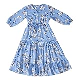 Generisch Prinzessin Spitzenkleid für Mädchen mit Südostasiatischem Design Frühlingsmode Langarm Rüschen Cosplay Kleid (Blue, 5-6 Years)