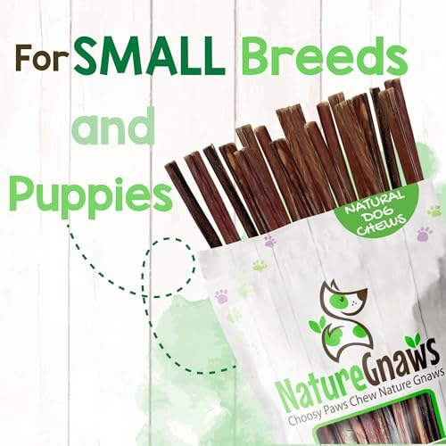 Image of Nature Gnaws Super Skinny Bully Sticks for Small Dogs 5-6 inch (15 Count) - Long Lasting for Light Chewers and Puppies - Extra Thin Natural Beef Dog Chew Treats