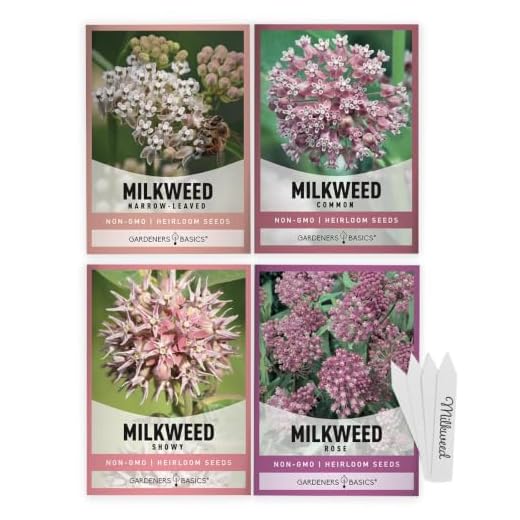 Milkweed Seeds For Monarch Butterflies (4 Variety Pack) Common, Showy, Butterfly and Rose Varieties Attracts Butterflies, Bees and Pollinators Heirloom Flower Seeds Wildflower Seed by Gardeners Basics