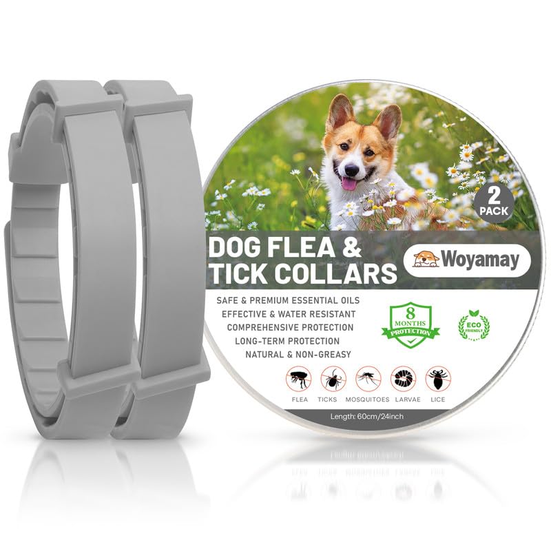 Collares Antiparasitarios para Perros, Seguro y Eficaz Collar Antipulgas Perros contra Pulgas y Garrapatas, Protección de 8 Meses, Impermeable Collar para Pequeño Mediano Grandes Perros Gris, 2 Pcs