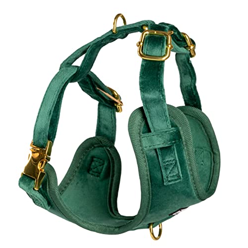 Fluffy Tailers Emerald Velvet Dog Harness - Image 2