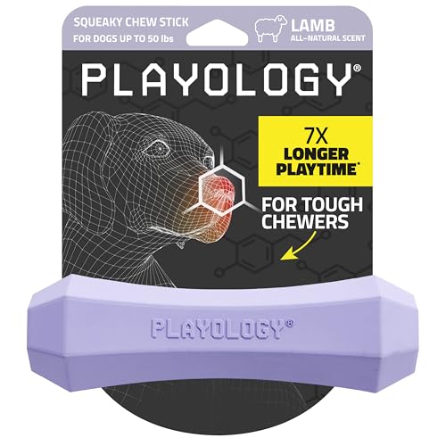 Playology Squeaky Chew Stick – Scented Dog Toy – Medium, Lamb Scent | Rubber Construction, All Natural Scent, Durable Design