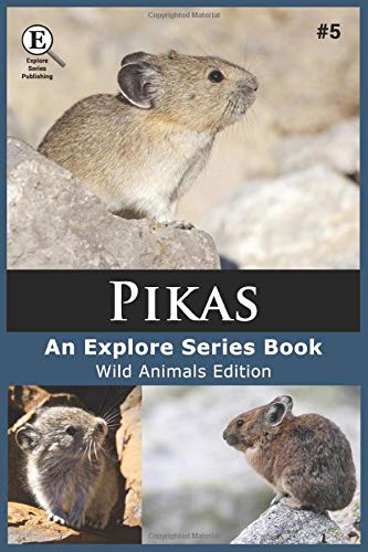 Pikas (Wild Animals)
