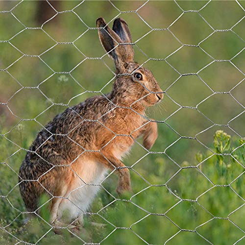 Mtb Galvanized Hexagonal Poultry Netting Chicken Wire 48" X25' X 2" Mesh 20Ga #TOP3