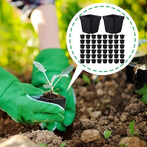 Macetas para principiantes que evitan el encharcamiento en la germinación de semillas 8