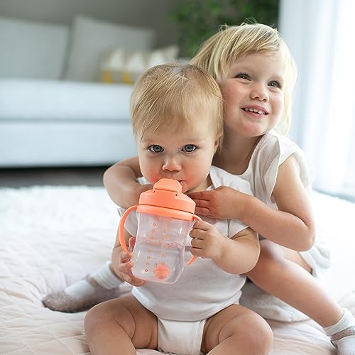 Dr. Brown'S TC91103-P12 Milestones Baby'S First Straw Cup thumb #7