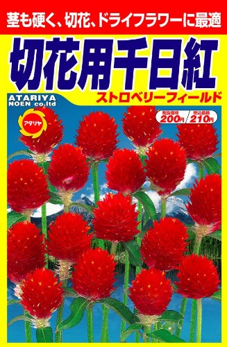 Amazon | アタリヤ農園 ガーデニング用品 種 ストロベリーフィールド