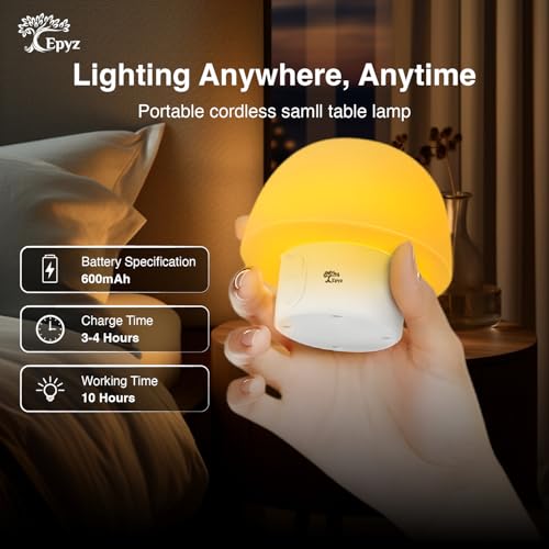 Image of Epyz Solar Table Lamp Rechargeable Outdoor Solar Lamps for Patio Waterproof, Dimmable Warm White and RGB LED Patio Lamp for Outside Terrace (Pack of 2)