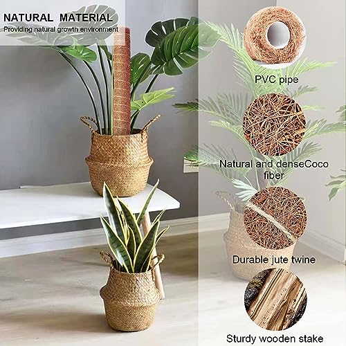 7SNHB Pflanzenstab Rankhilfe, 4 Stück Rankhilfe Zimmerpflanzen Kokosfaser Rankhilfe mit grünen Bändern für Kletterpflanzen – Bild 3