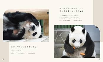 なたんたんページ Amazon.co.jp: パンダのタンタン、また明日ね : 二木 繁美: 本