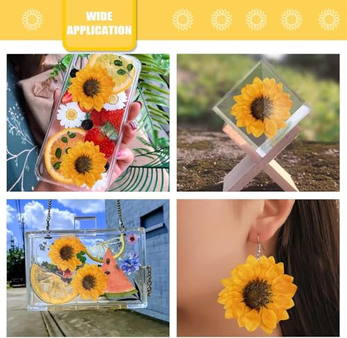 60 PCS Girasoles Secos Naturales para Manualidades miniatura 4