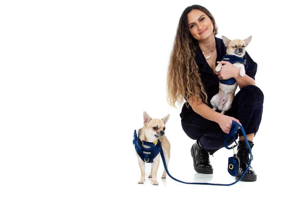 Royal Blue Velvet Collection- arnés para perro, cuello, pajarita, correa y soporte para bolsa (extra pequeño)