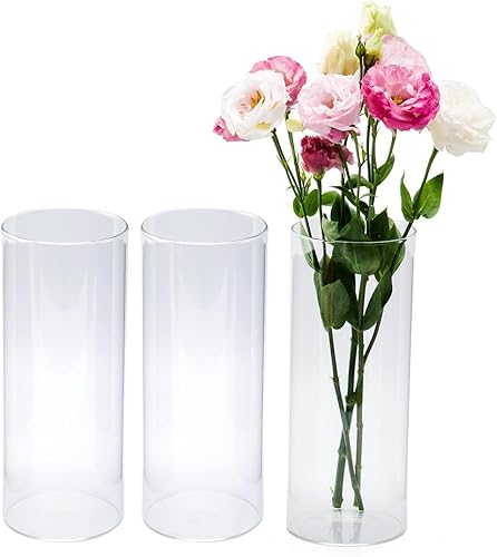 Devilfire - Jarrones cilĂndricos de vidrio transparente de 8 pulgadas de alto, paquete de 3 jarrones de centro de mesa, portavelas flotante para Devilfire - Jarrones cilĂndricos de vidrio transparente de 8 pulgadas de alto, paquete de 3 jarrones de centro de mesa, portavelas flotante para
