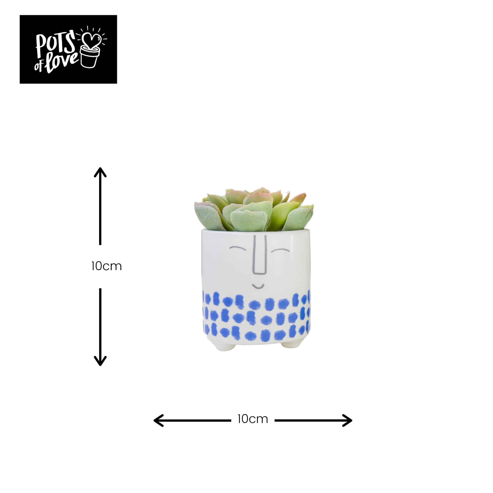 KitchenCraft Smiley Planter - Blue Ceramic Pot for Indoor Plants -3 KitchenCraft Smiley Planter - Blue Ceramic Pot for Indoor Plants -3