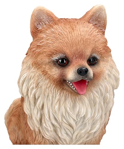 Figuren Shop GmbH Zwergspitz Pomeranian Welpe – Handbemalte Hundefigur aus Polyresin, 14,5 cm Höhe