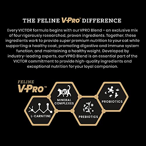 Image of VICTOR Fit Feline - Grain Free High-Protein Dry Cat Food, Indoor Cats, 15lb | Super Premium Cat Food, 38% Protein, 16% Fat, For All Breeds and All Life Stages from Kitten to Adult, 15lbs