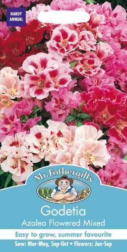 Mr Fothergills - Pictorial Packet - Flower - Godetia Azalea Flowered Mixed - 750 Seeds