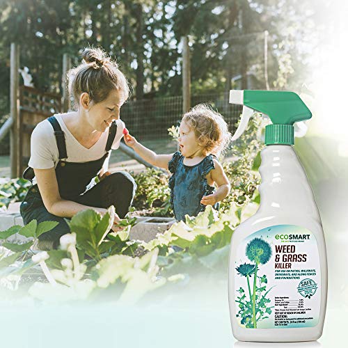 image for EcoSmart Natural, Glyphosate-Free Weed and Grass Killer Ready-to-Use S