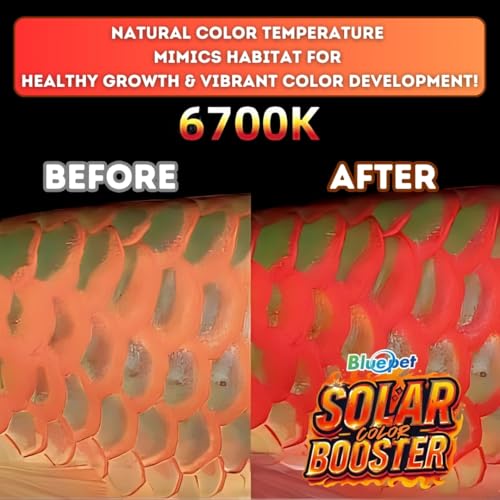 Image of Bluepet BL-S150 Colour Booster Submersible LED Light for Aquarium Fish Tank | Enhances Fish Colours & Mimics Natural Sunlight | Durable & Energy Efficient Design. (150cm)