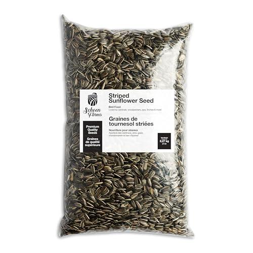 Schoen Farms Striped Sunflower Seeds Hulled Wild Bird Food 6 lb Bag Premium Bird Seed for Cardinals Jays & Finches