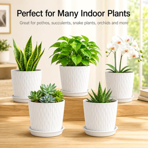 Image of SWAPKART (Pack of 5 6 Inch Plastic Flower Pots for Indoor & Outdoor Terrace,Garden Plants Decorative Planters with Drainage Holes & Matching Saucers Durable & Lightweight (White)