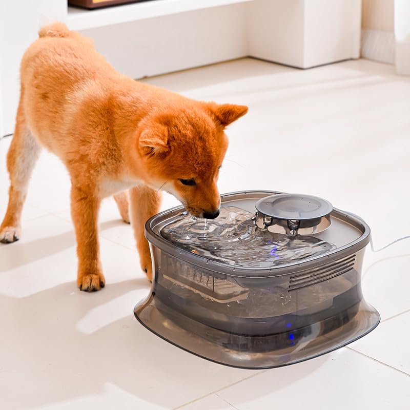 FEELING MALL 5L Dog Water Dispenser | Dog Water Fountain | Automatic Water Dispenser for Pets | Wireless Automatic Infrared Sensing Pet Water Fountain | Pet Fountain for Cat (B0D6GMSPPK) Amazon Price History, Amazon Price Tracker