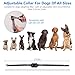 For2dogs,Dog Wireless Fence & Training Collar 2-in-1 System, Wireless Fence Harmless for All Dogs, Adjustable Control Range 656Feet, Adjustable Shock Strength, Waterproof Collar,for 1 2 3 Dogs