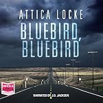 Cover of Bluebird, Bluebird
