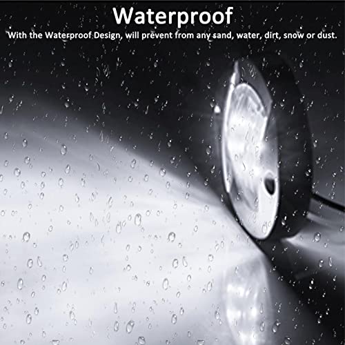 Marine Sport Waterproof Flexible Strip Light with Clear Sleeve, 24'