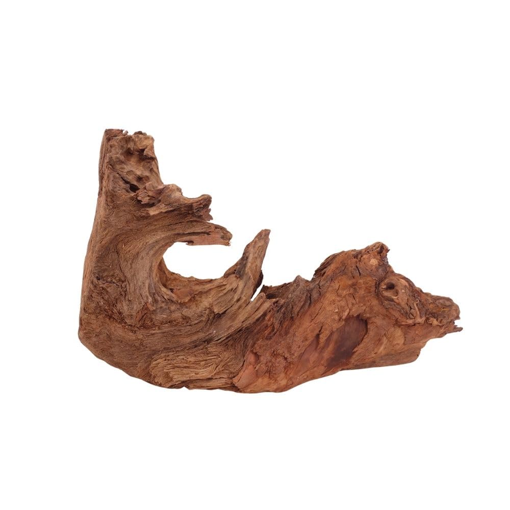 AquaOne Korzeń do akwarium, dekoracyjny korzeń mangrowca, prawdziwe drewno, nr 2882, dekoracja drewniana, rośliny, rośliny wodne, krajobraz, mech, natura
