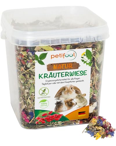 petifool Nager-Ergänzungsfutter Kräuterwiese, natürliches und gesundes Kaninchenfutter, 1er Pack (1 x 380 g)
