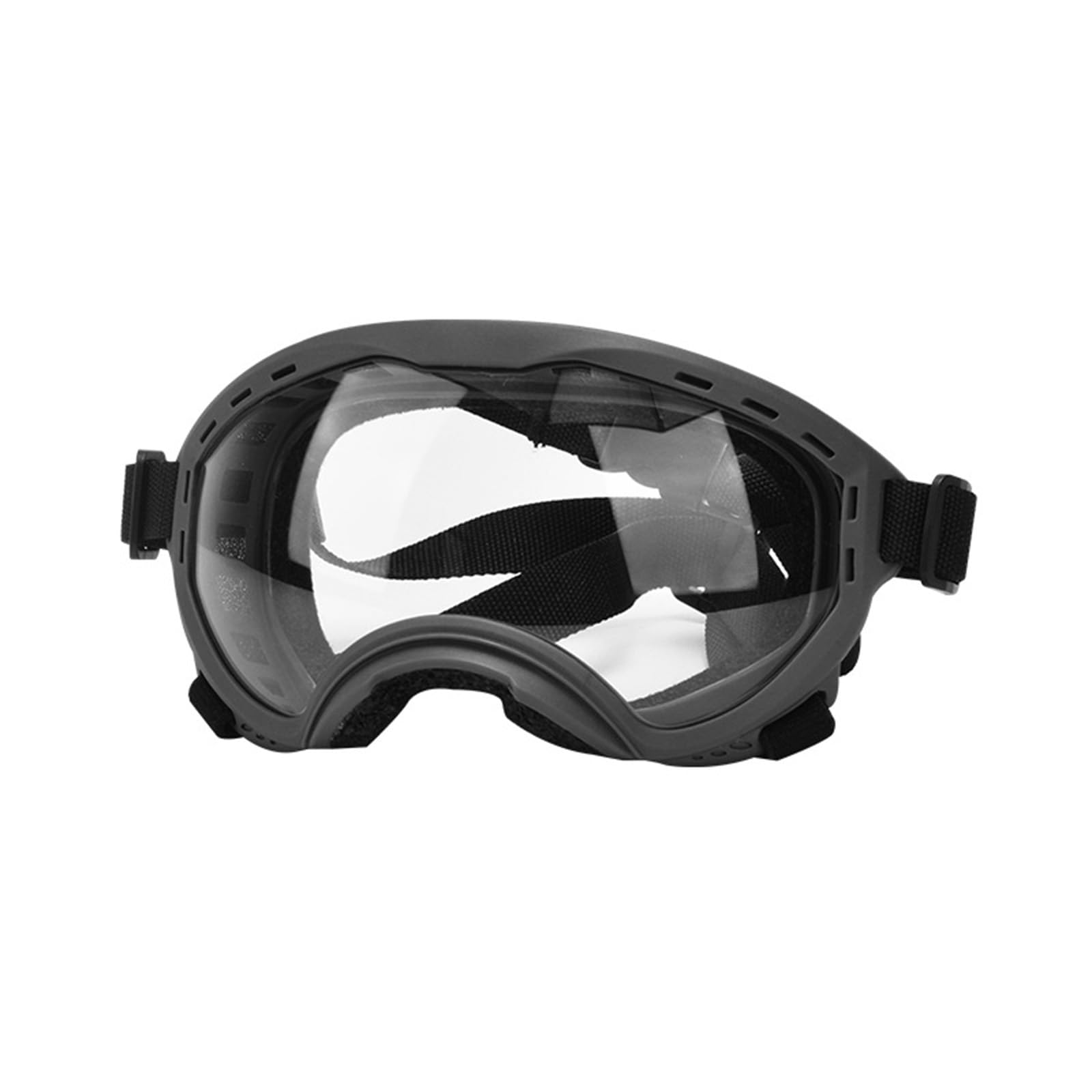 Lunettes de sport pour chien idéales pour les balades à vélo et en voiture