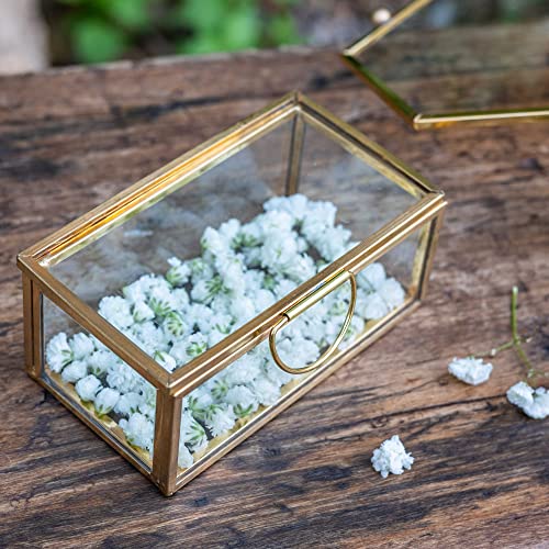 SKYLANTERN Caja de alianza de metal y cristal, 9 x 5 cm Cover