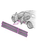 Einstiegsleisten SET in 3D CARBON SILBER für VW EOS 1F bestehend aus 2 Folien ab 2010-2016