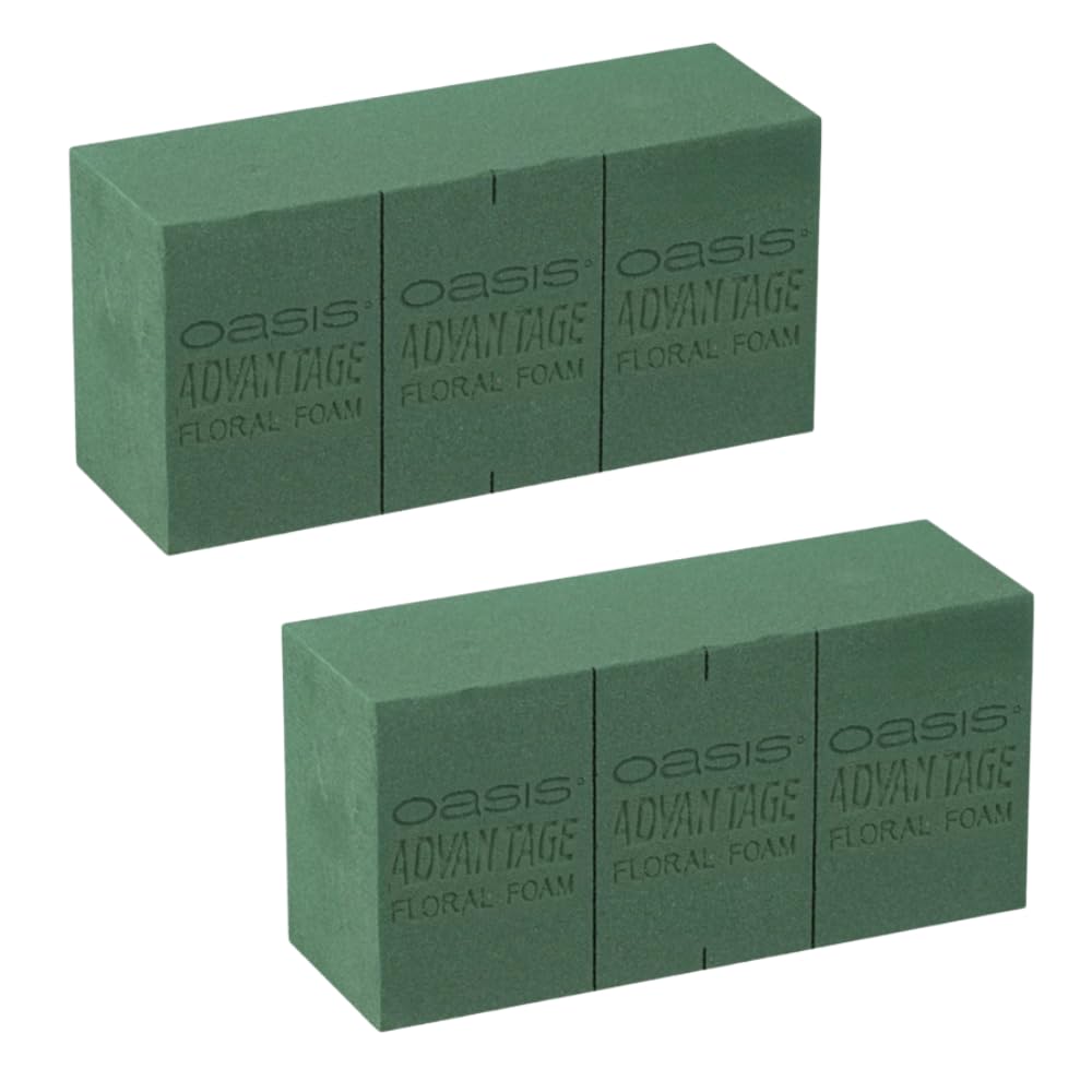 Oasis Pack of 2 Advantage Floral Foam Bricks | Green Florist Foam Blocks for Flower Arrangements in Home Décor, Weddings, Events, Festivals & More | Size 9 x 3 x 4 Inches