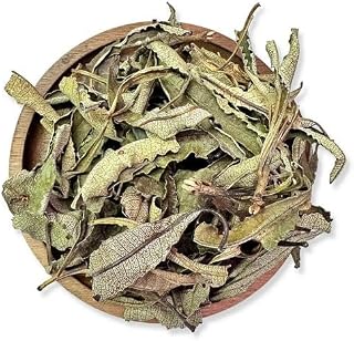 NY SPICE SHOP Whole Yerba Santa Leaf - 8 Ounce Raw Yerba Santa Leafs Tea (Loose) - Pure Loose Leafs for Hi Caf Tea - Ecoteas Yerba Mate