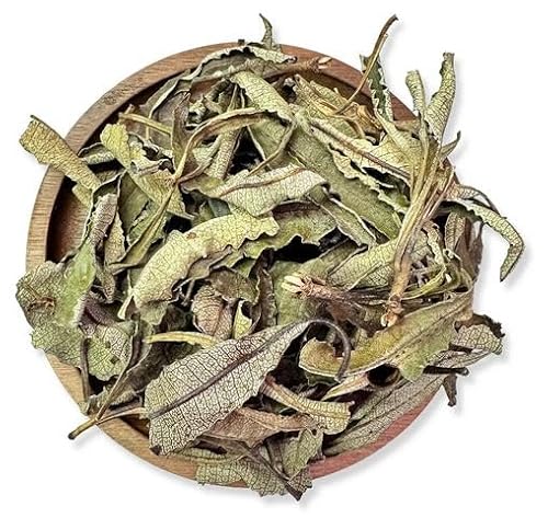 NY SPICE SHOP Whole Yerba Santa Leaf - 4 Ounce Raw Yerba Santa Leafs Tea (Loose) - Pure Loose Leafs for Hi Caf Tea - Ecoteas Yerba Mate
