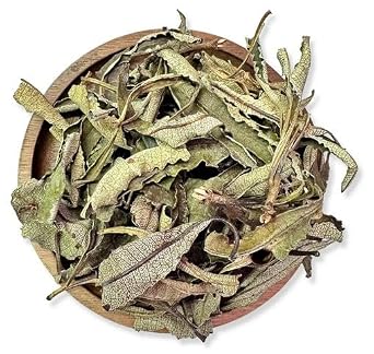 NY SPICE SHOP Whole Yerba Santa Leaf - 8 Ounce Raw Yerba Santa Leafs Tea Loose - Pure Loose Leafs for Hi Caf Tea - Ecoteas Yerba Mate