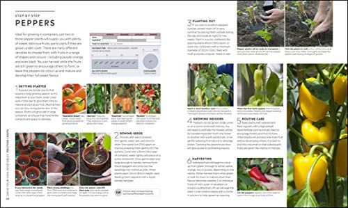 RHS Step-by-Step Veg Patch: A Foolproof Guide to Every Stage of Growing Fruit and Veg