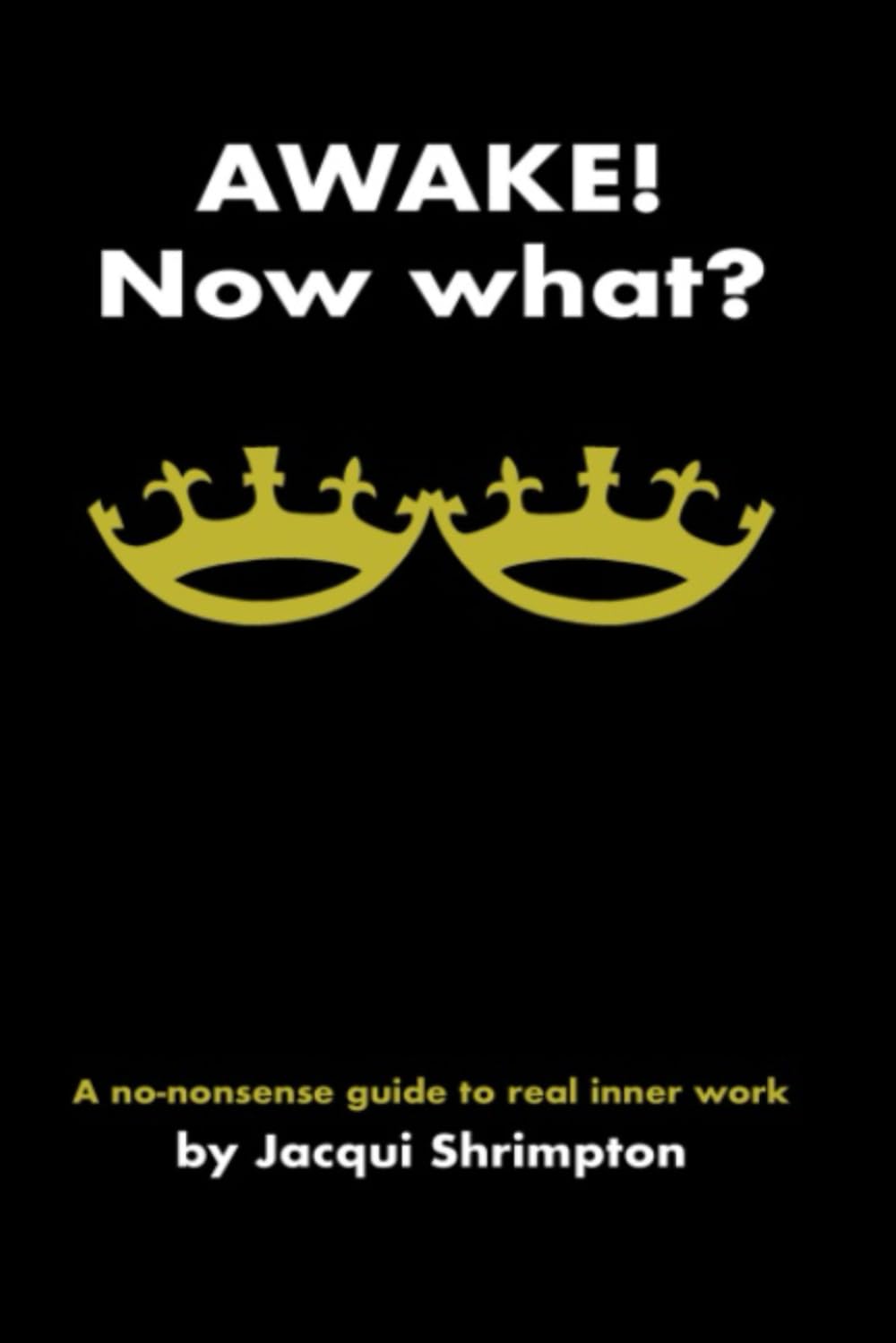 Awake! Now What?: A No-Nonsense Guide to Real Inner Work