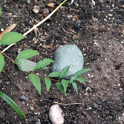 BIRD Key Rock - Fake rock hidden storage key hider outside - Hide a key in plain sight