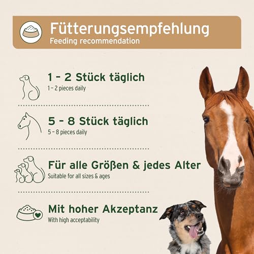 AniForte Bio Kokos-Sticks Hundesnack 500g - Zahnpflege Snack für Hunde & Pferde, kaltgepresst, 100% Kokos Hundeleckerlie, natürliche Belohnung aus Kokosraspeln, ohne Zusätze