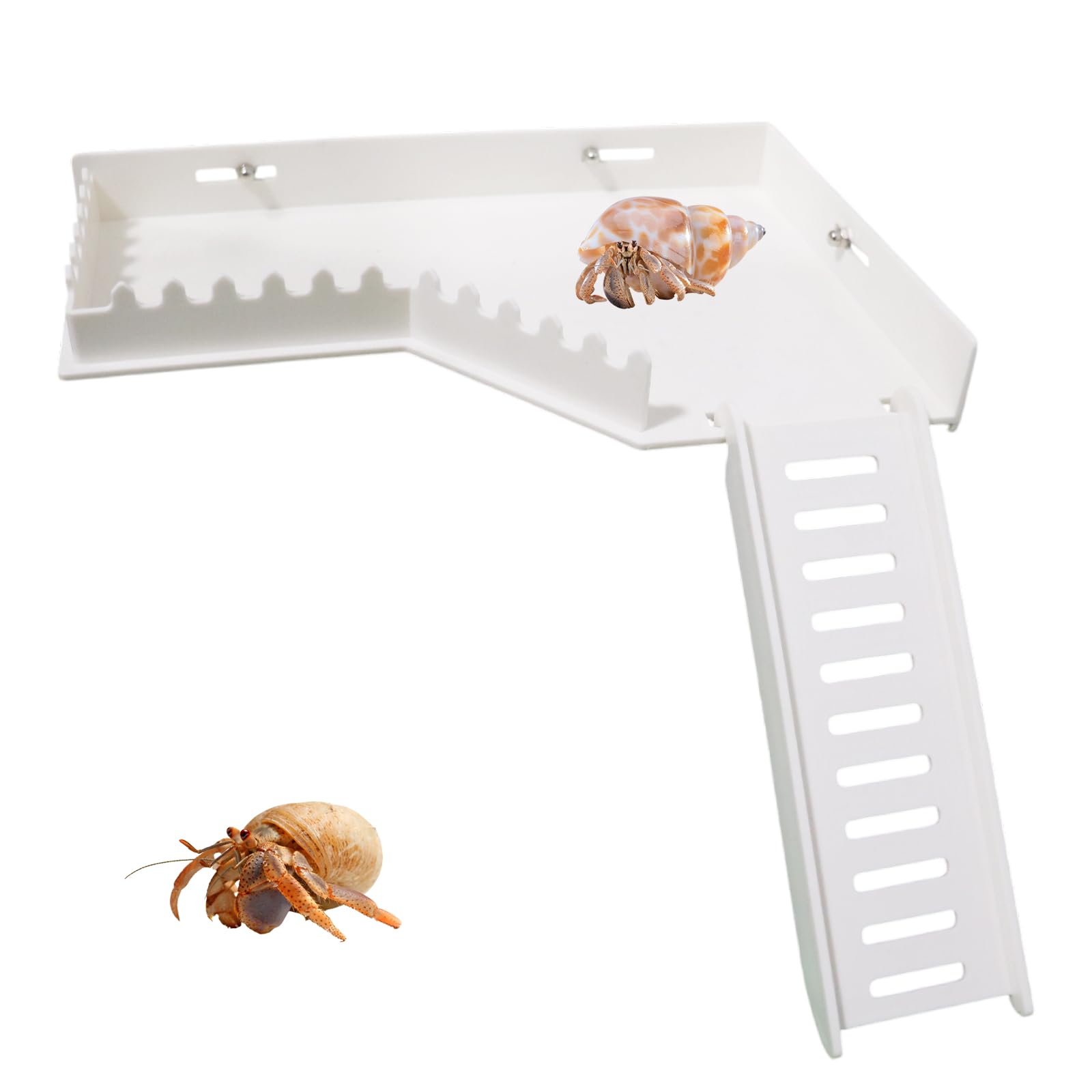 BingegePet No-Drill Climbing Platform with Ramp, Hermit Crab Climbing Wall & Hideout, Multi-Level Platform with Ladder, No-Tools Mounting for Geckos,