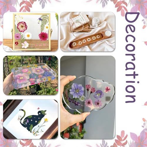 NATISERAUM 70Pcs Dried Pressed Flowers for Crafts, Natural Dry Flowers for Resin with Tweezer for Scrapbooking DIY Art Crafts, Epoxy Jewelry Molds, Candle, Soap Making