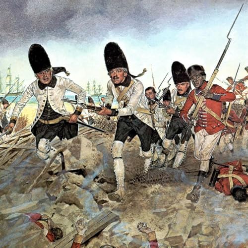 African-Americans in Spanish Florida and the Declaration of Independence cover art