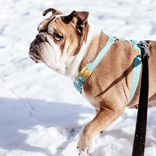 Anavia Slide On Silent Pet Id Tags, S/M/L/Xl Personalized Gold Black Stainless Steel Customized Engraved Cat Dog Name Tags, Glossy Finish Chew-Proof Quiet Dog Collar Tag (X-Large, Black) #TOP5