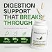 BIOptimizers MassZymes - Complete Digestive Enzymes Supplement for Gut Health - Bloating Relief for Men and Women - Lipase Amylase Bromelain Digestive Enzymes (30 Capsules)