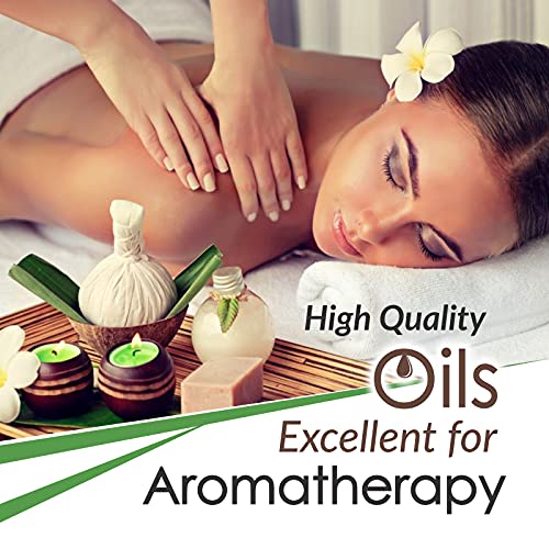 Image of Crysalis Spearmint (Mentha Spicata) Oil |100% Pure & Natural Undiluted Essential Oil Organic Standard Spearmint Antioxidant Oil Reduces Fine Lines & Skin Imperfections ,Reduce Breakouts -100ml Dropper