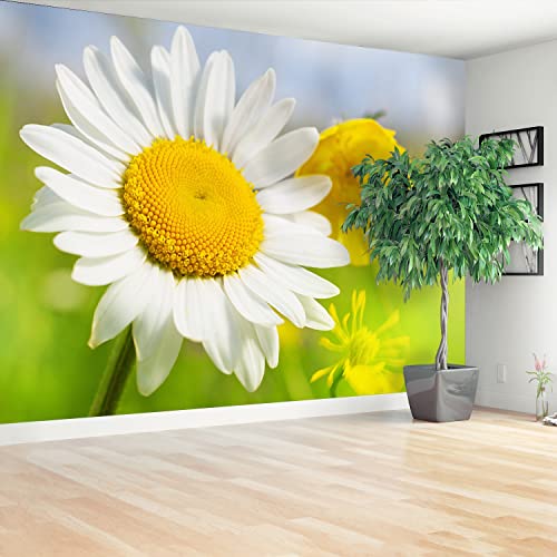 Papier peint fleurs de camomille moderne au format geant 416x254cm - 3