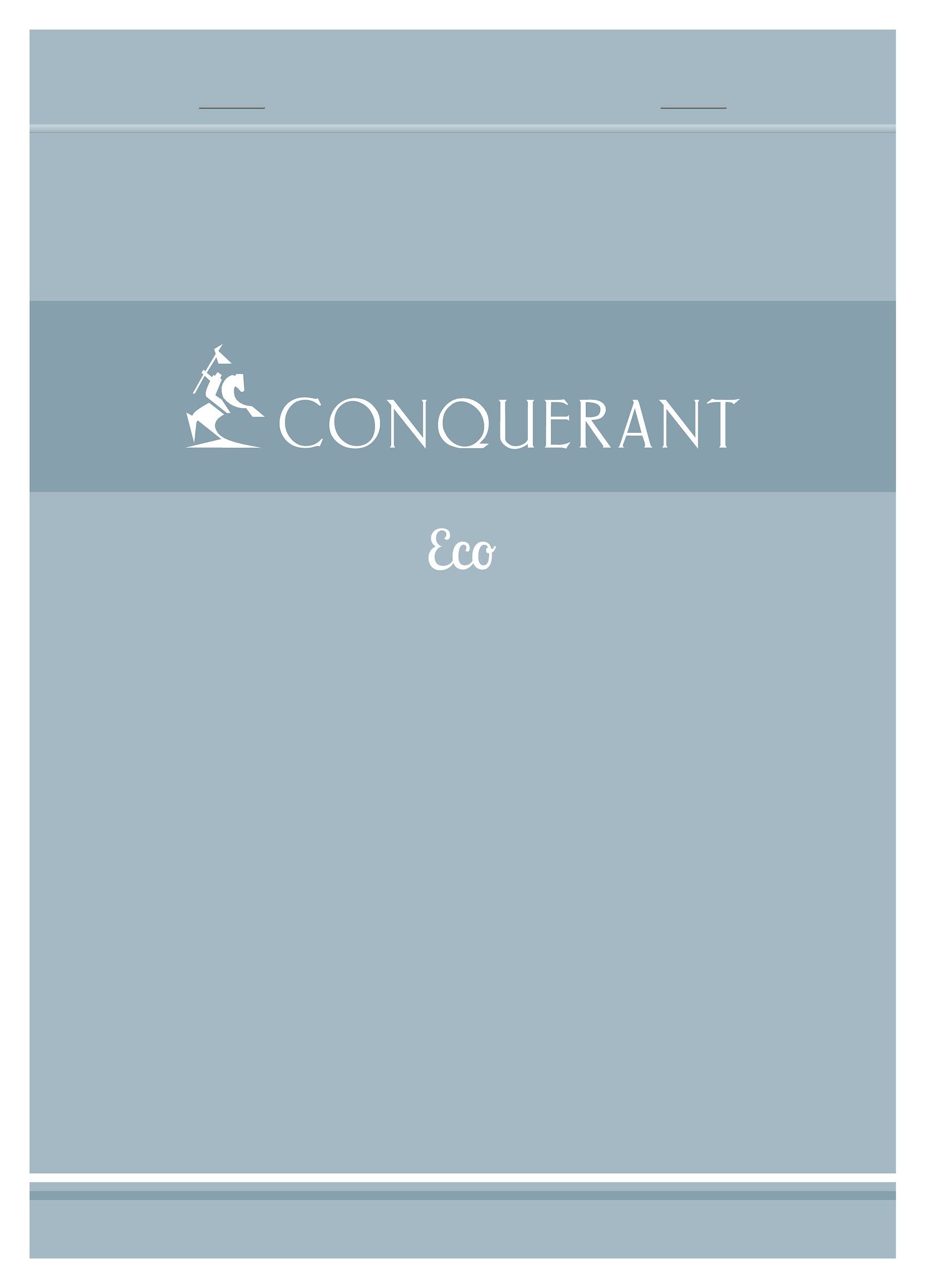 Conquérant Lot de 40 Bloc-Notes Eco A5 Petits Carreaux 5mm 200 Pages Agrafées Tête Couverture Carte Bleue